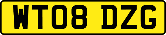 WT08DZG