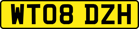 WT08DZH