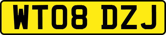 WT08DZJ
