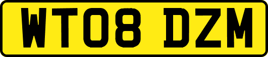 WT08DZM