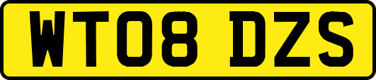 WT08DZS