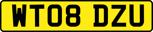 WT08DZU