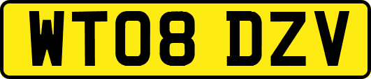 WT08DZV
