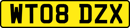 WT08DZX