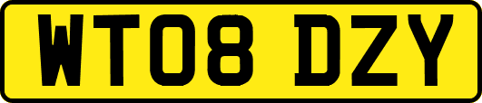 WT08DZY