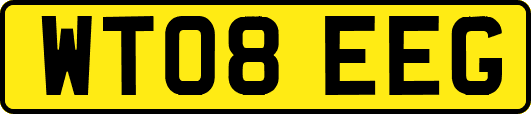 WT08EEG