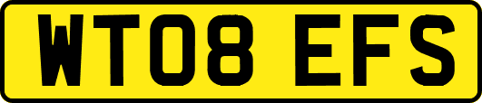 WT08EFS
