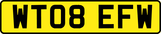 WT08EFW