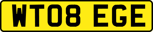 WT08EGE