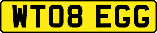 WT08EGG