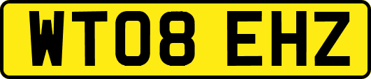 WT08EHZ