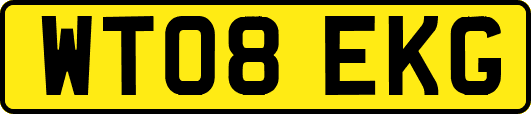 WT08EKG