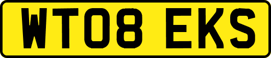 WT08EKS