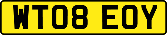 WT08EOY