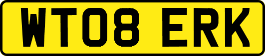 WT08ERK