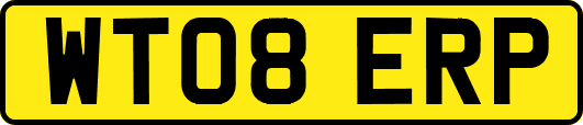 WT08ERP