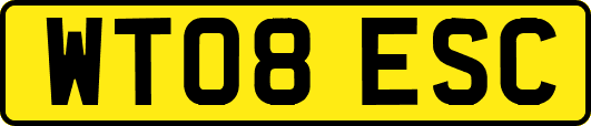 WT08ESC