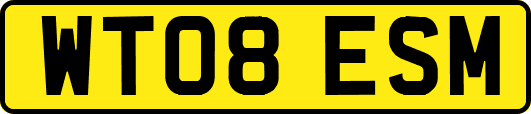 WT08ESM