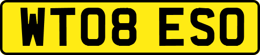 WT08ESO