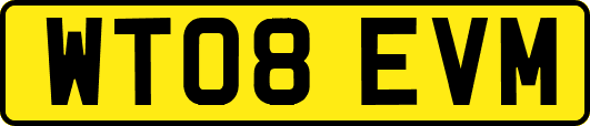 WT08EVM