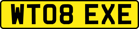 WT08EXE