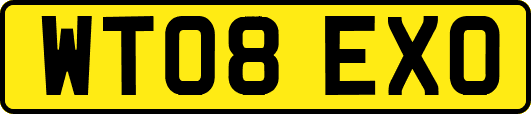 WT08EXO