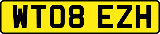 WT08EZH