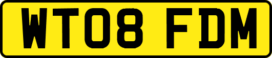 WT08FDM