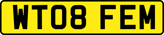 WT08FEM
