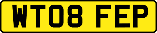 WT08FEP