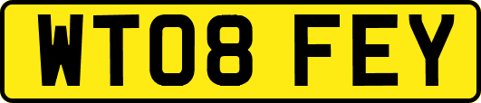 WT08FEY