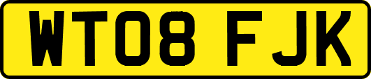 WT08FJK