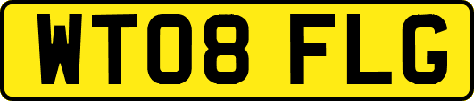 WT08FLG