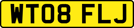 WT08FLJ