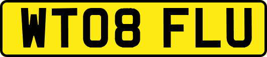 WT08FLU