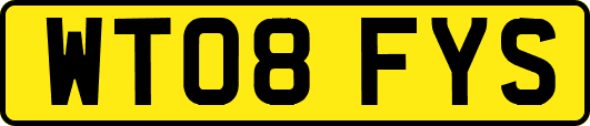 WT08FYS