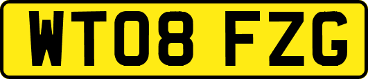 WT08FZG