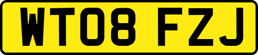 WT08FZJ