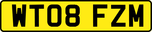 WT08FZM