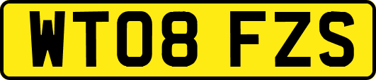 WT08FZS