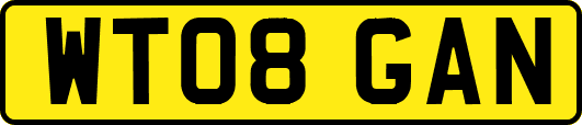 WT08GAN