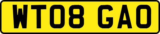 WT08GAO