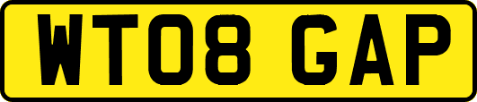 WT08GAP