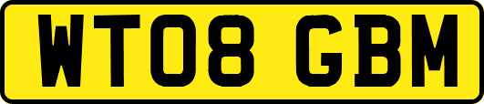WT08GBM