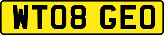 WT08GEO