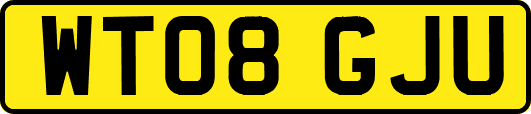 WT08GJU