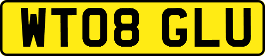WT08GLU