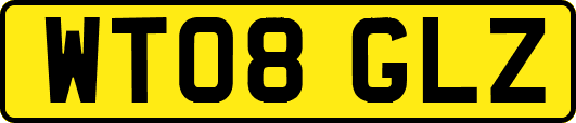 WT08GLZ