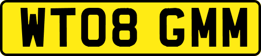 WT08GMM