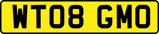 WT08GMO